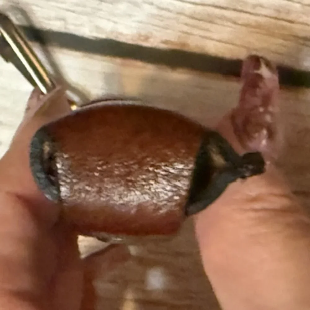 ✨ Vintage Tooled Leather Lighter Holder — Full-Body Horse Design (NOS) ✨